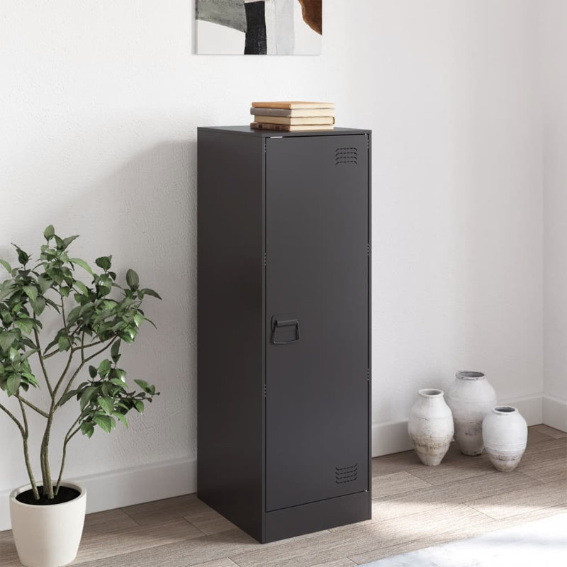 Alyda Steel Accent Cabinet, Black
