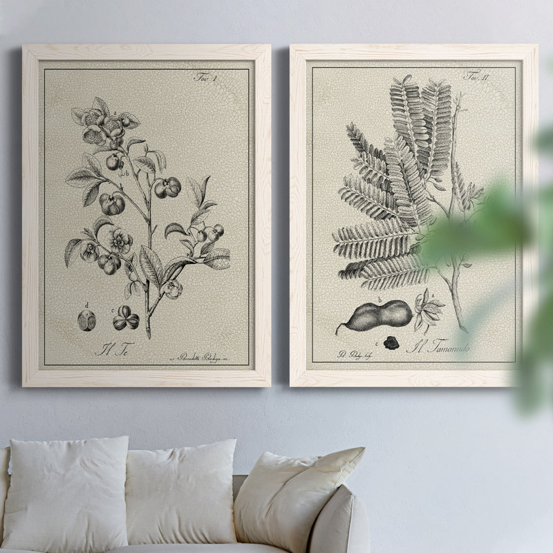 «Antique Black and White Botanical IV», ensemble de 2 reproductions d'art sur toile, H 43,5 po x l 63 po x P 1 po