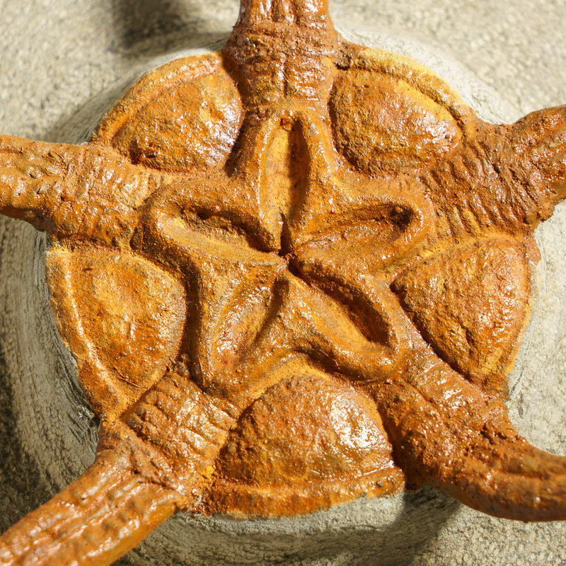 Genuine Ophiuroidea Brittle Star Fossil with Customized Display Stand (1.8 lbs)