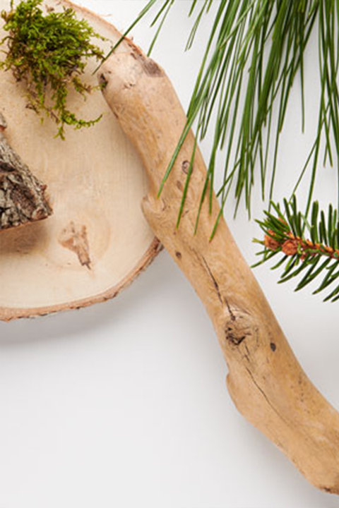 Shop Woody Candles