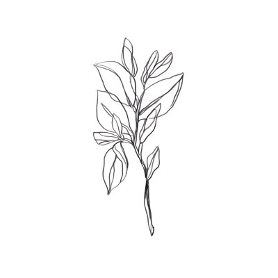 Branche de feuille I