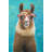 Lovable Llama - Turquoise Animals Framed Canvas Home Decor