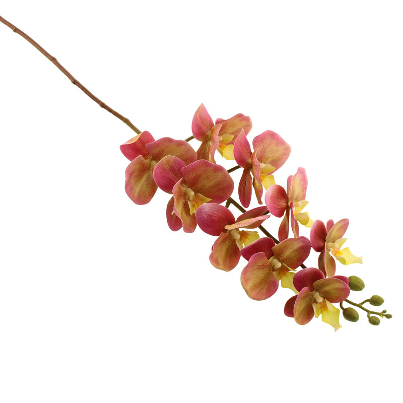Fabric Orchid Arrangement, Rhubarb
