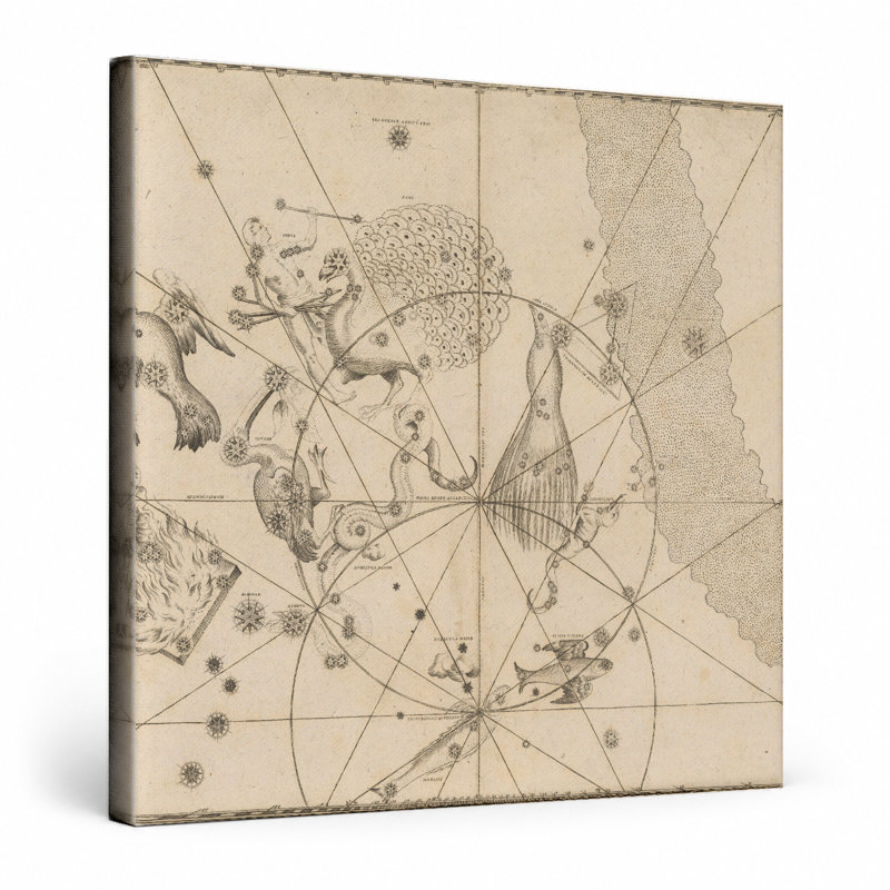 Uranometria (1661) - Art mural carré sur toile, 16" W x 16" H