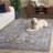 Henrich 700 Performance Oriental Rug-635688107