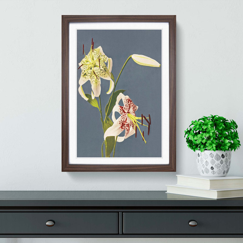 Lilies by Kazumasa Ogawa - Picture Frame Painting Print, Walnut Framed, 48cm H x 36cm W x 2cm D