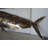 Mahi Mahi laser cut steel wall mounted-496087693