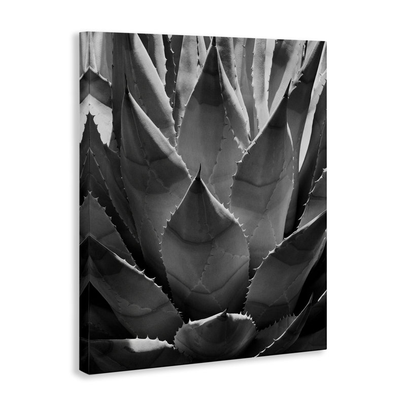 "Desert Plant", art mural sur toile par Chip Forelli, H 20 po x l 16 po