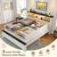 Lit de ferme avec rangement, format Queen, tête de lit, lumière DEL et port USB, 4 tiroirs sous le lit, station de charge intégrée, silencieux, sans sommier requis.-404900104-404900106