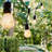 48' Outdoor LED 15 - Bulb Standard String Light-419492291