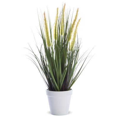 Faux Evergreen Grass in Pot
