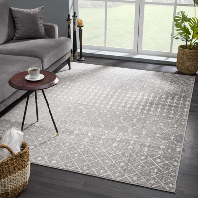 Aleiza Southwestern Indoor Rug