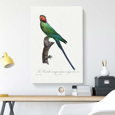 Blossom-Headed Parakeet - Wrapped Canvas Painting