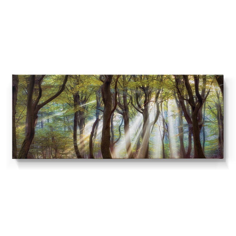 Majestic - Toile tendue avec châssis - Prêt à accrocher, H 12 po x l 30 po