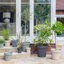 Pot Planter-1330104275-1330104274