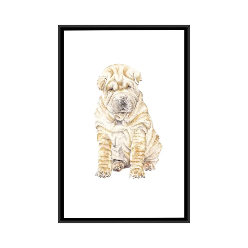«Shar Pei», reproduction sur toile, H 26 po x l 18 po x P 1,5 po, Toile avec cadre noir, Pas de tapis