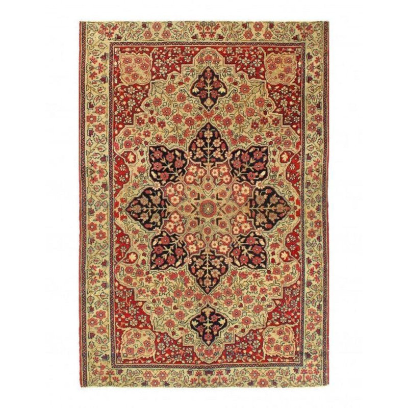 Oriental Area Rug