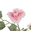 Rose Arrangement