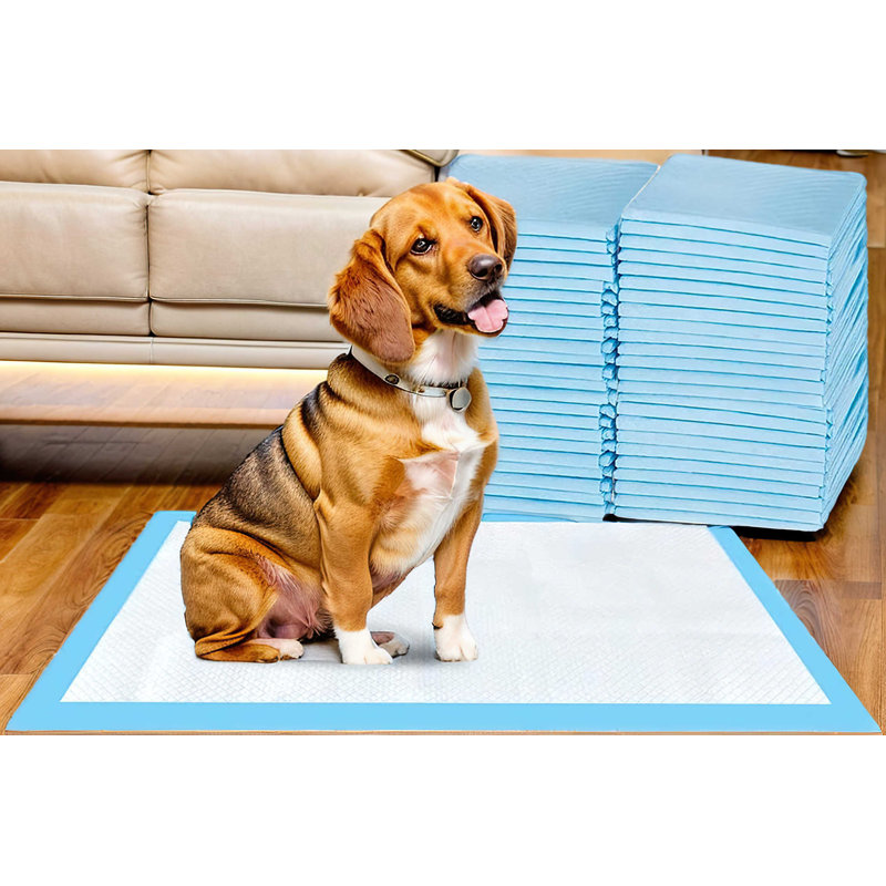Tapis de dressage pour chien et chiot
