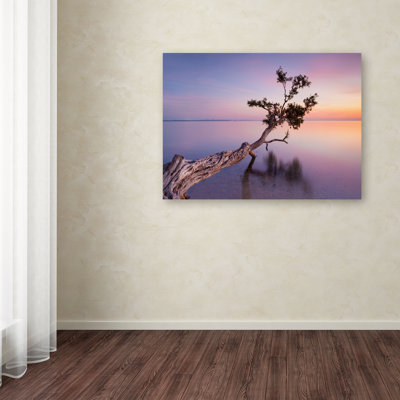 « water tree xv », impression sur toile tendue