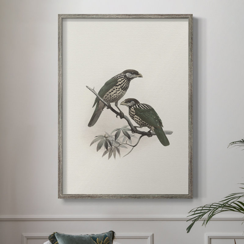 «Vintage Animal Print», reproduction encadrée en bois massif, H 30 po x l 24 po