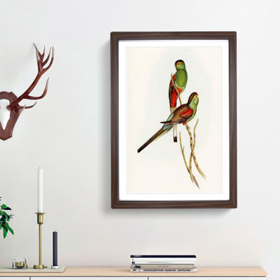 Beautiful Parakeets 1 Piece Single Picture Frame Painting