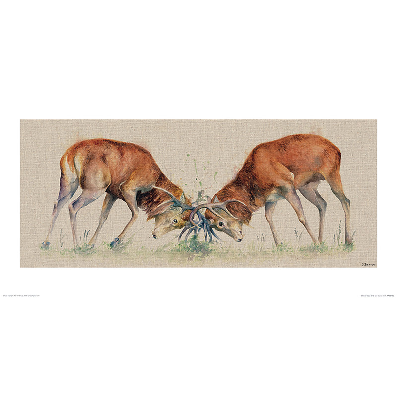 Winner Takes All by Jane Bannon - No Frame Painting, 30 cm H x 60 cm W x 0.01 cm D