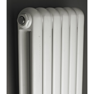 Salvia Vertical Designer Radiator