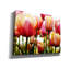 "Tulipes" par PhotoINC Studio-1547412589