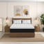 Matelas en mousse viscoélastique, sensation moyenne, matelas 10 po Freshrise-53134391