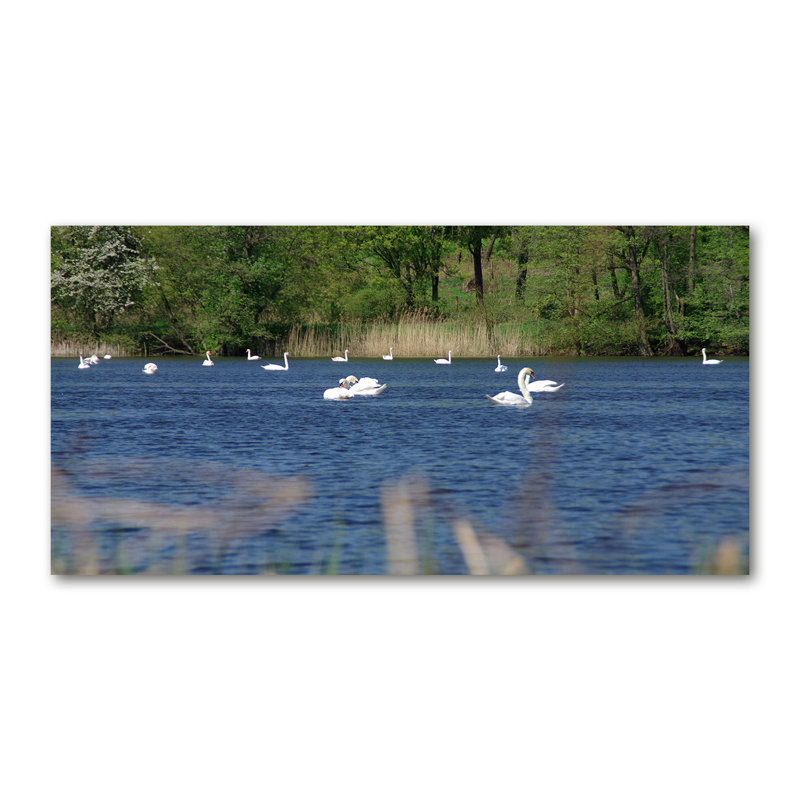 50cm W x 100cm L Glass Peel and Stick Panel