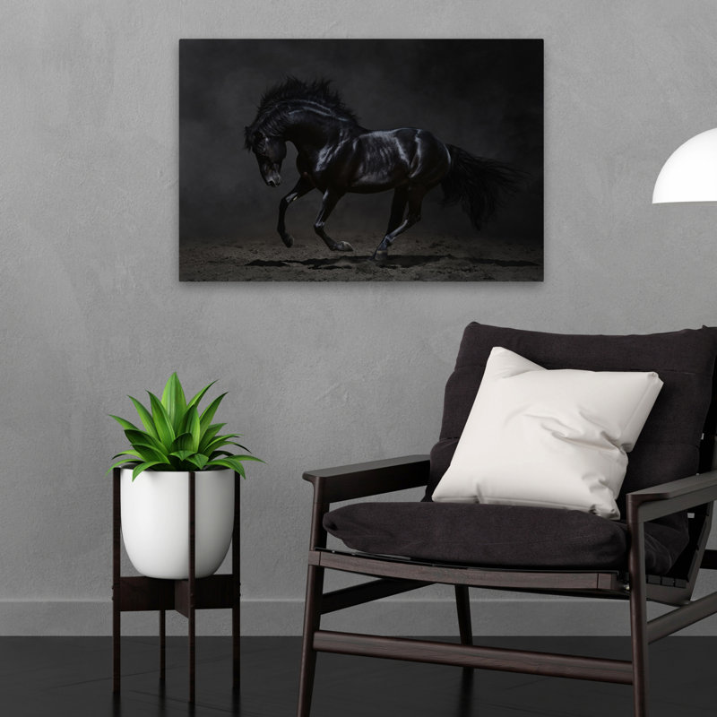 Onyx - photographie, animaux, chevaux, art, H 16 po x l 24 po