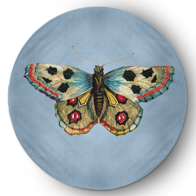 Arlita Chenille Indoor Rug, Round 5'
