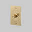 1G Dimmer / LED / Linear / With Logo-689904818-689689702
