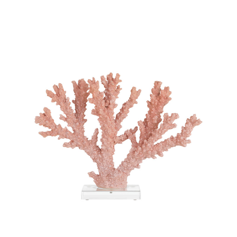 Feu corail grand