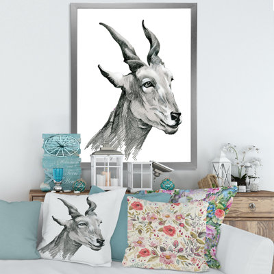 " Monochrome Portrait Of Goat I "
