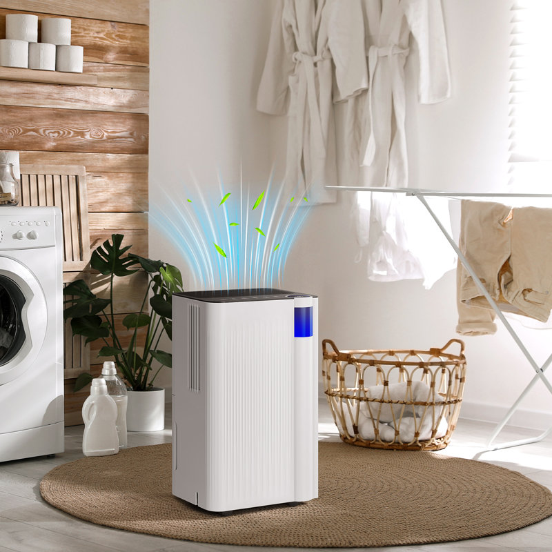 Dehumidifier