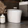 Smart Bidet Elongated Toilet, Auto Open & Close, Heated Seat, Wireless Remote Control, Premium