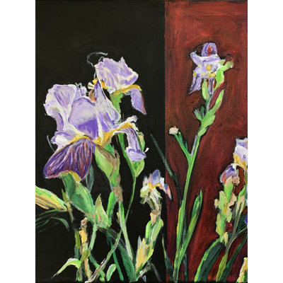 Bearded Irises Print by Owen Brown