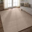 Area Rug in Beige-1636436514