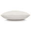 Clearview Lumbar Pillow Cover & Insert-848064935