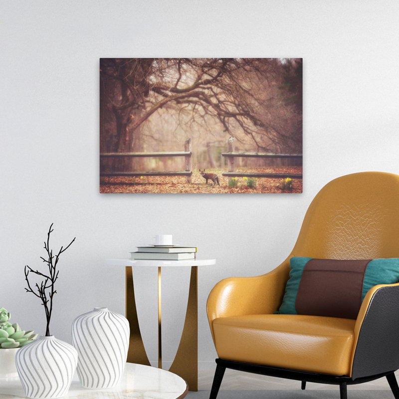 Sly Guy - Photographie de paysage, animaux, faune, H 16 po x l 24 po