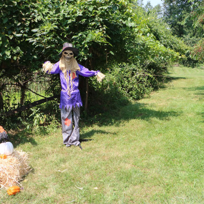 Cornfield and Pumpkin Patch Haunted Hill Farm 6 pi. Épouvantail effrayant d'Halloween animatronique avec lumières et sons tactiles