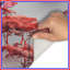Tapis de bain Red Canopy Trees-844129668