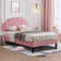 Auxter Upholstered Platform Bed Frame with Adjustable Headboard