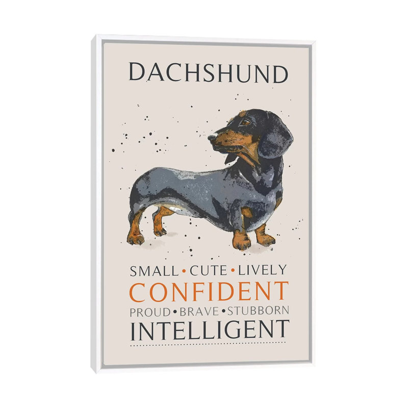 Dachshund by Michelle Campbell - Print on Canvas, White Framed, 66.04 cm H x 45.72 cm W