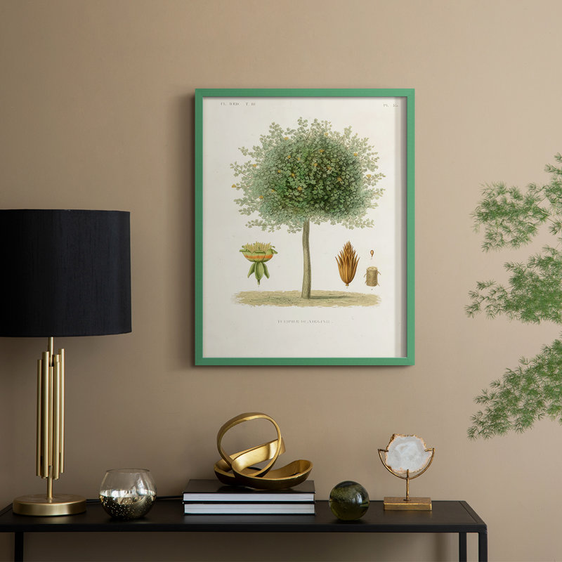 Arbre antique avec fruit X, reproduction encadrée - bois massif, H 21 po x l 17 po, Vert