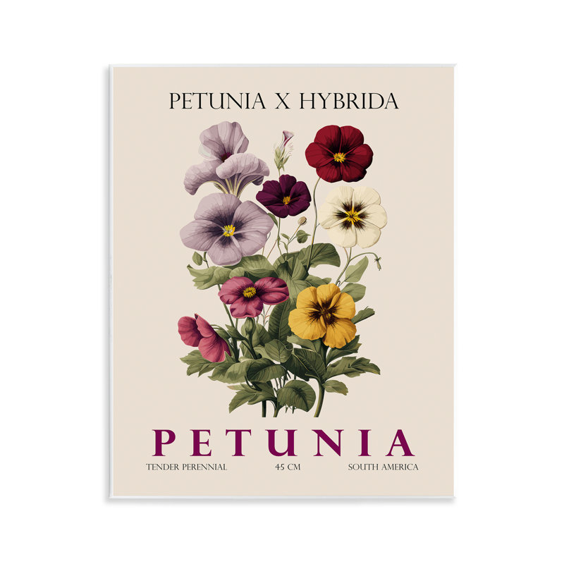 Natural Petunia Bundle Wall Plaque, design by Christopher Giampietro
