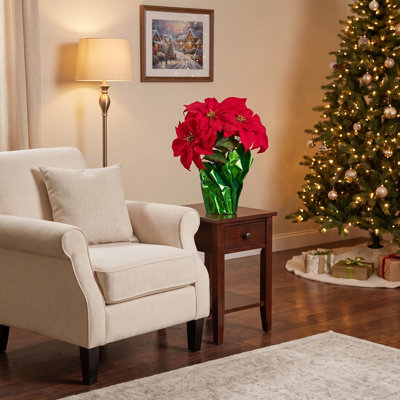 18 po poinsettia imperméable en pot 