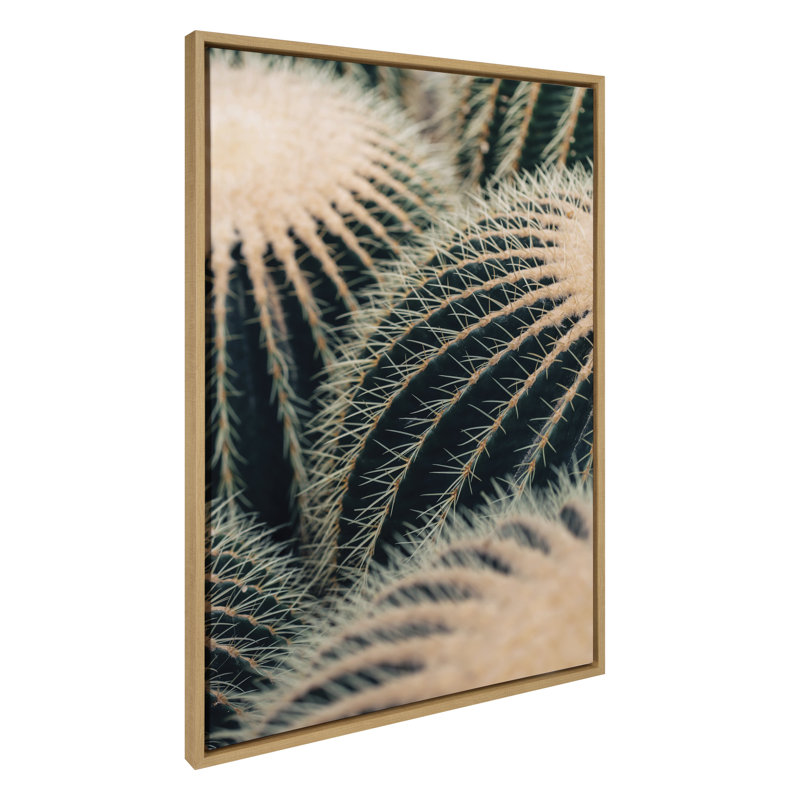«Barrel Cactus» par Alicia Bock, reproduction d'art sur toile encadrée
